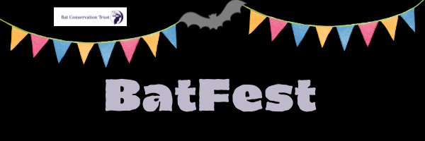 BatFest