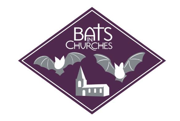 Bats in Churches Challenge Badge