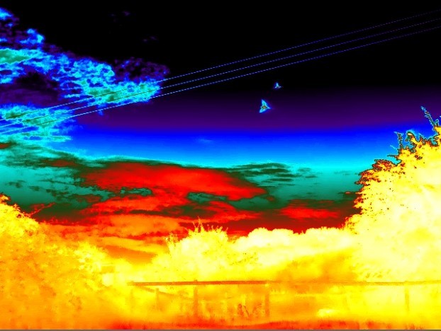 Thermal Imaging Training with WildlifeTek
