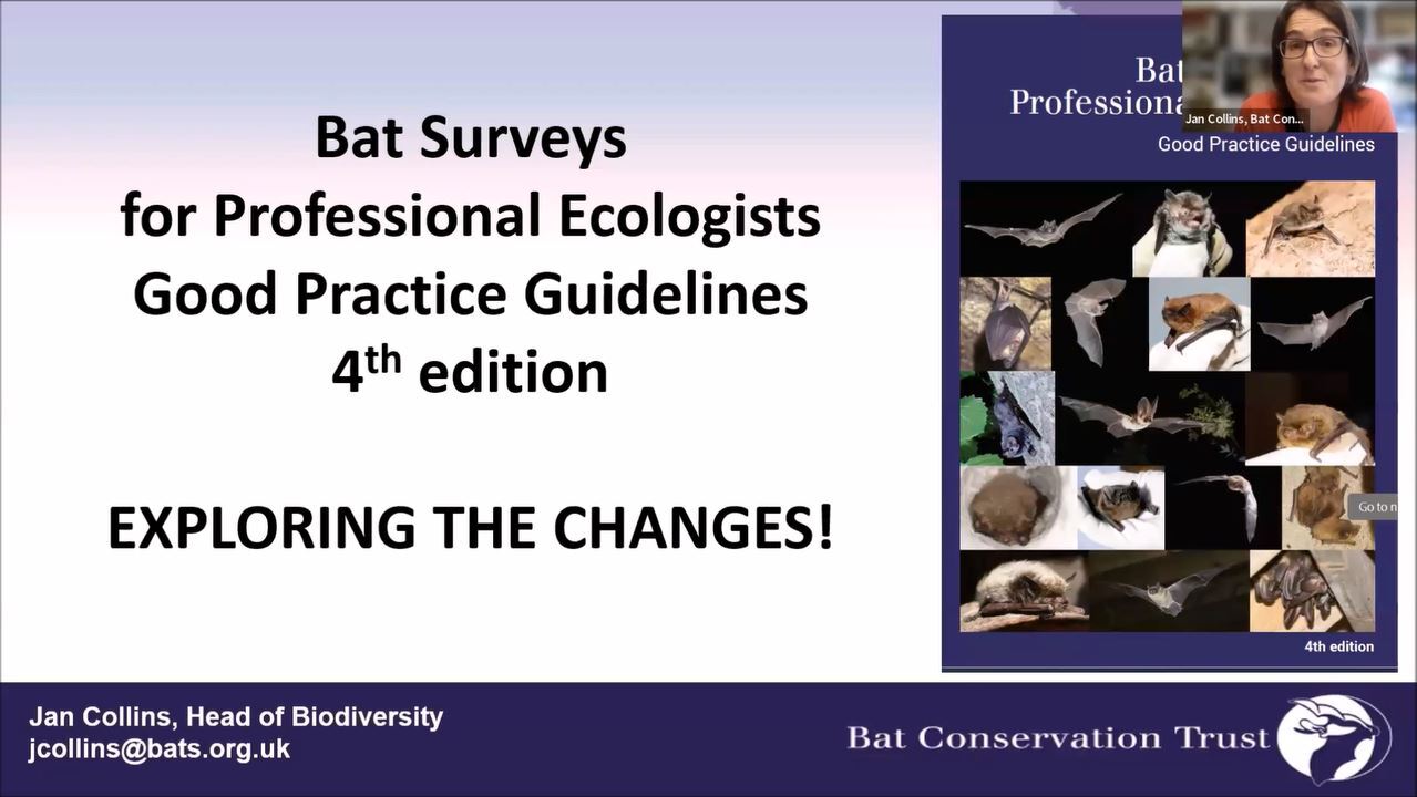 Bat Surveys for Professional Ecologists: Good Practice Guidelines 4th edition