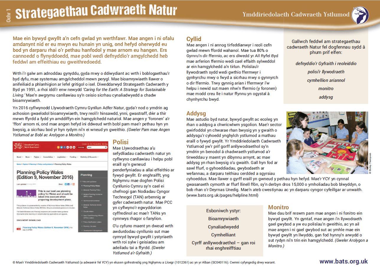 Archwilio byd cadwraeth ystlumod trwy’r