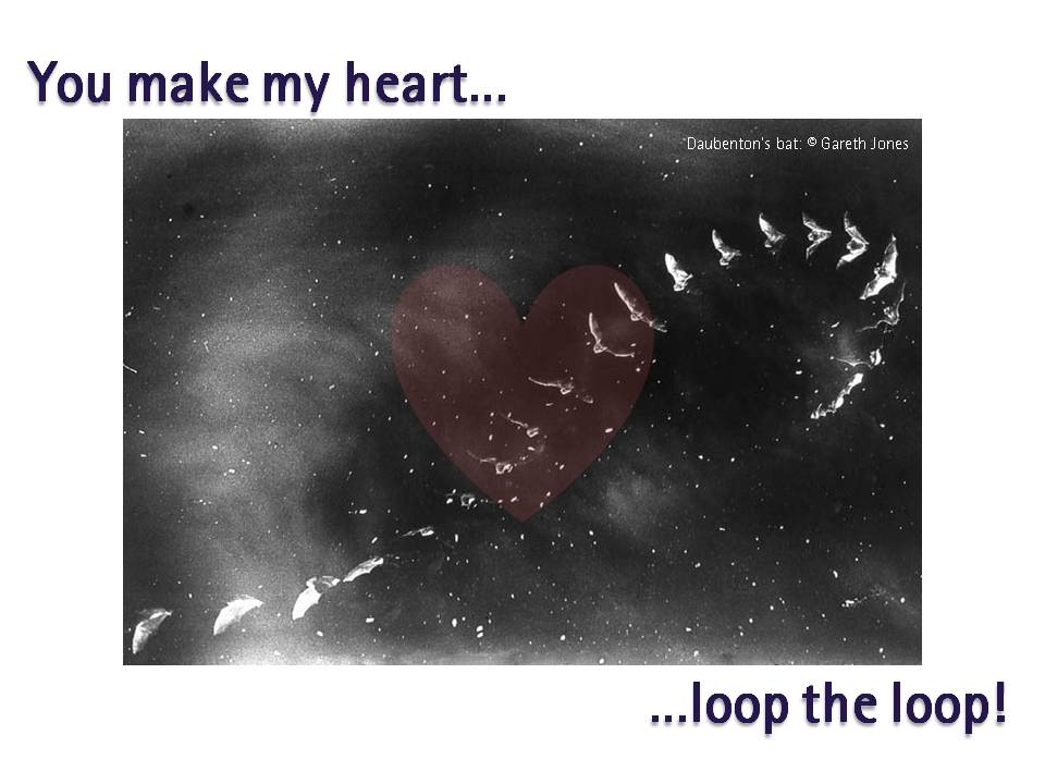 Batty Valentine's!