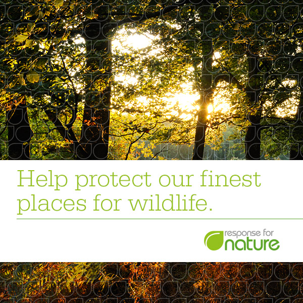 Launch of the Response for Nature report