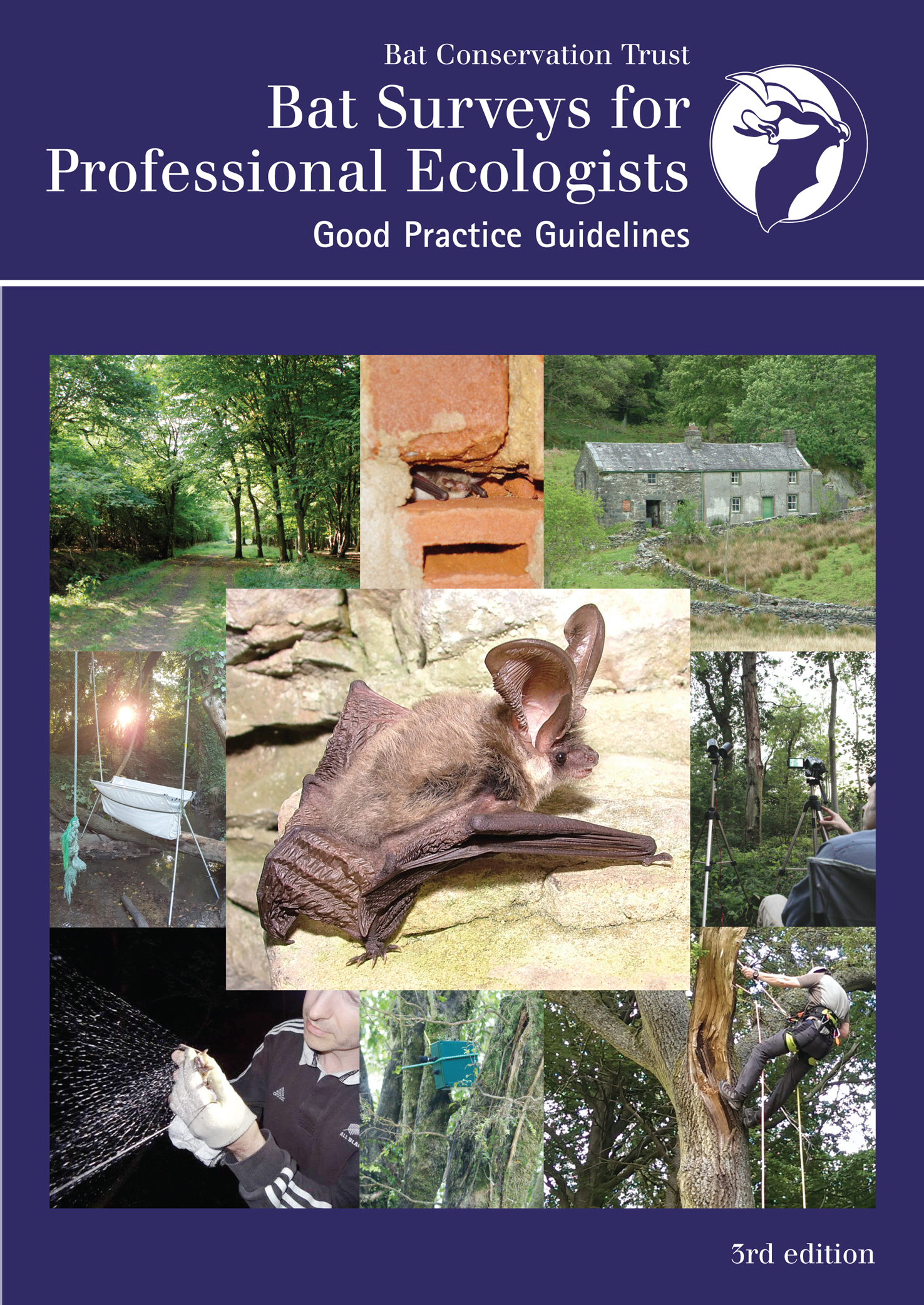 BCT’s Bat Surveys for Professional Ecologists – Good Practice Guidelines Consultation