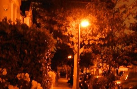 Submit your abstract for the Artificial Light and Wildlife Symposium