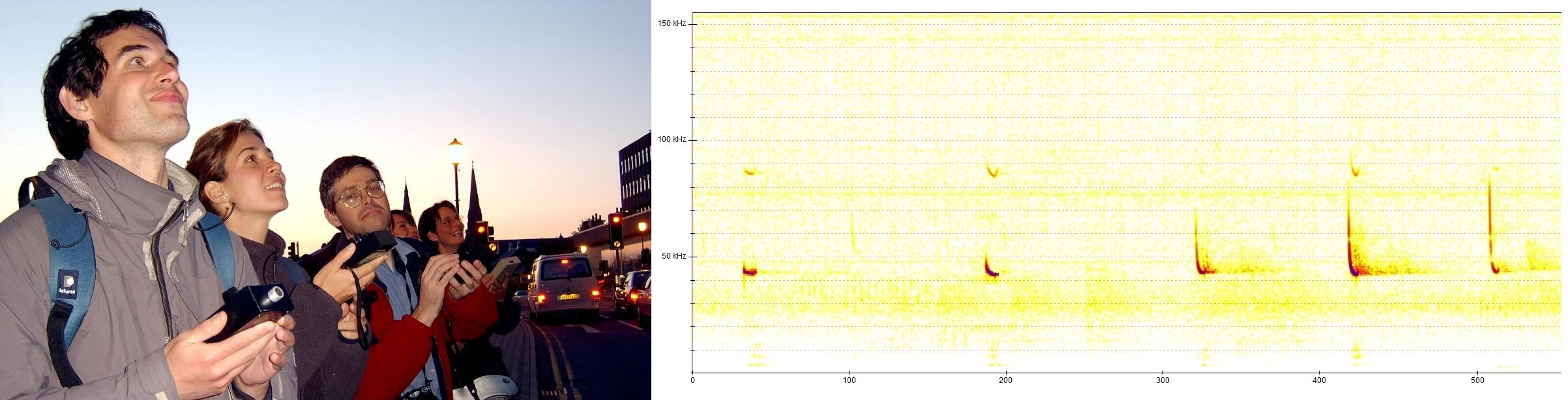 Introduction to Bat Detectors