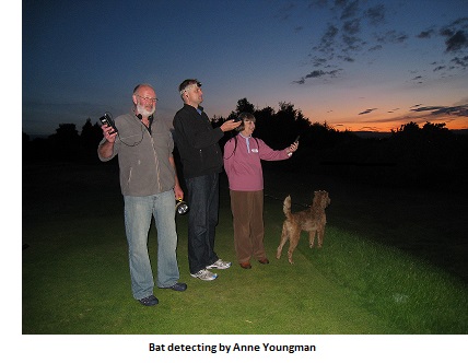 The National Bat Monitoring Programme: Citizen science reveals trends in bat populations
