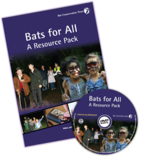 Count Bat Project
