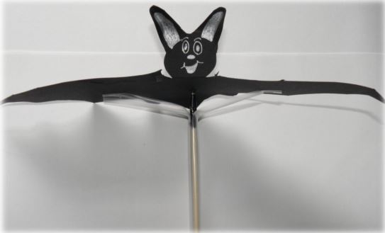 Indoor bat activities