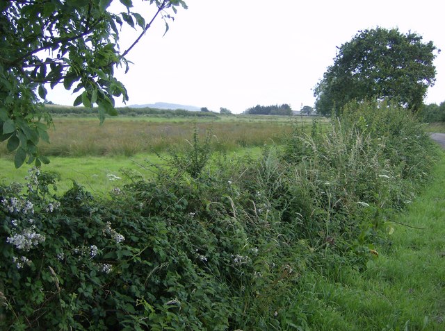Commuting habitats