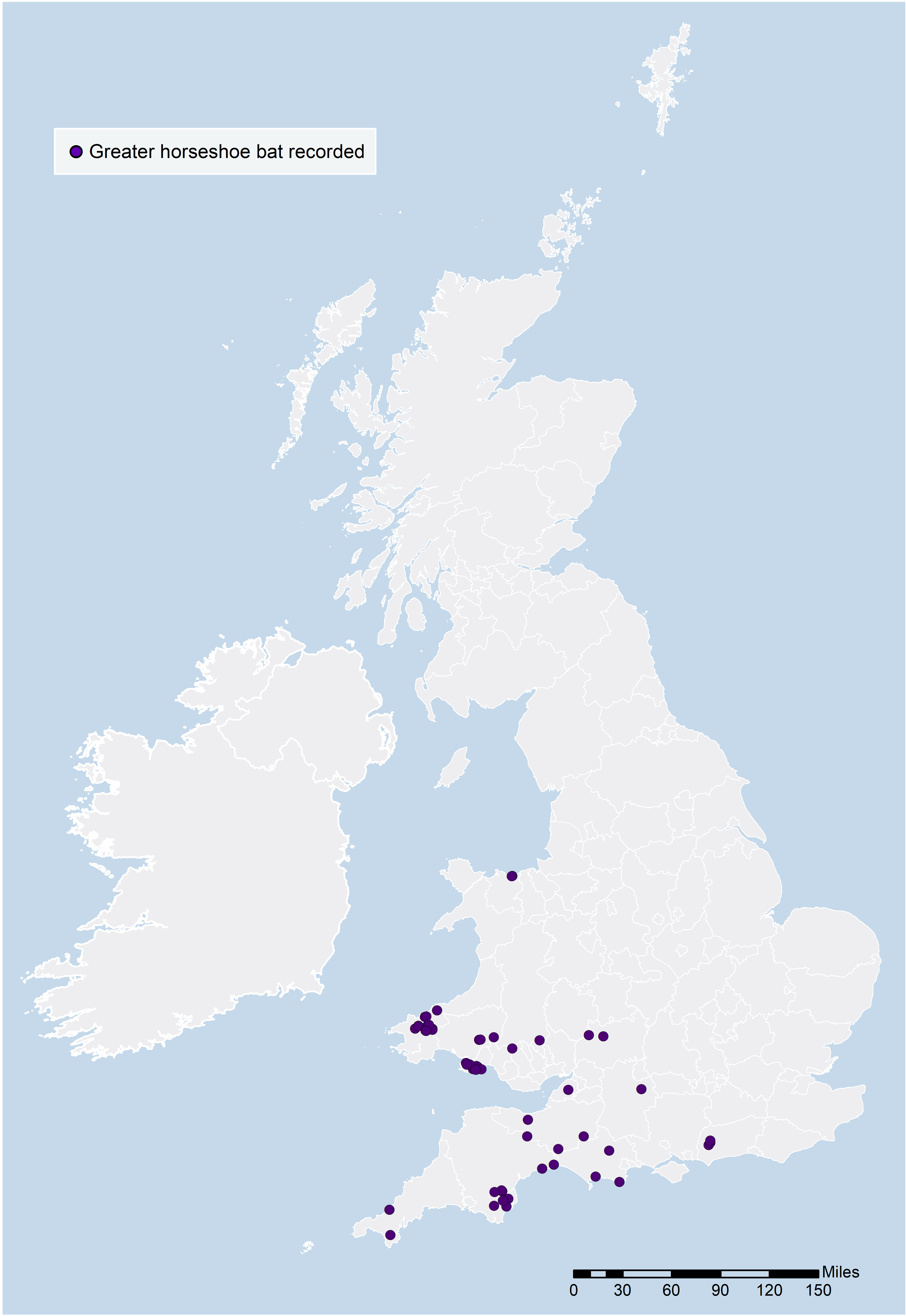 Hibernation Survey