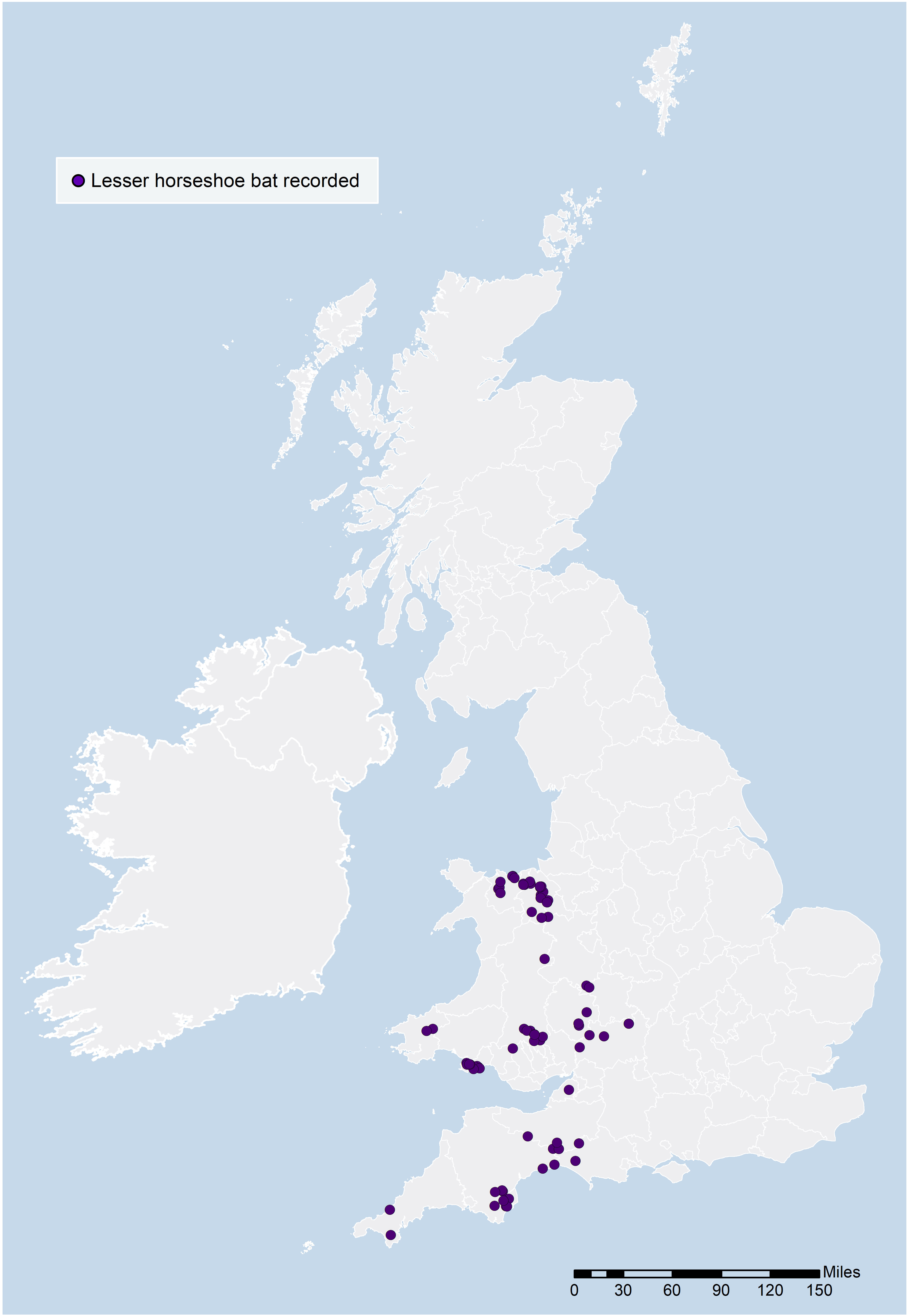 Hibernation Survey