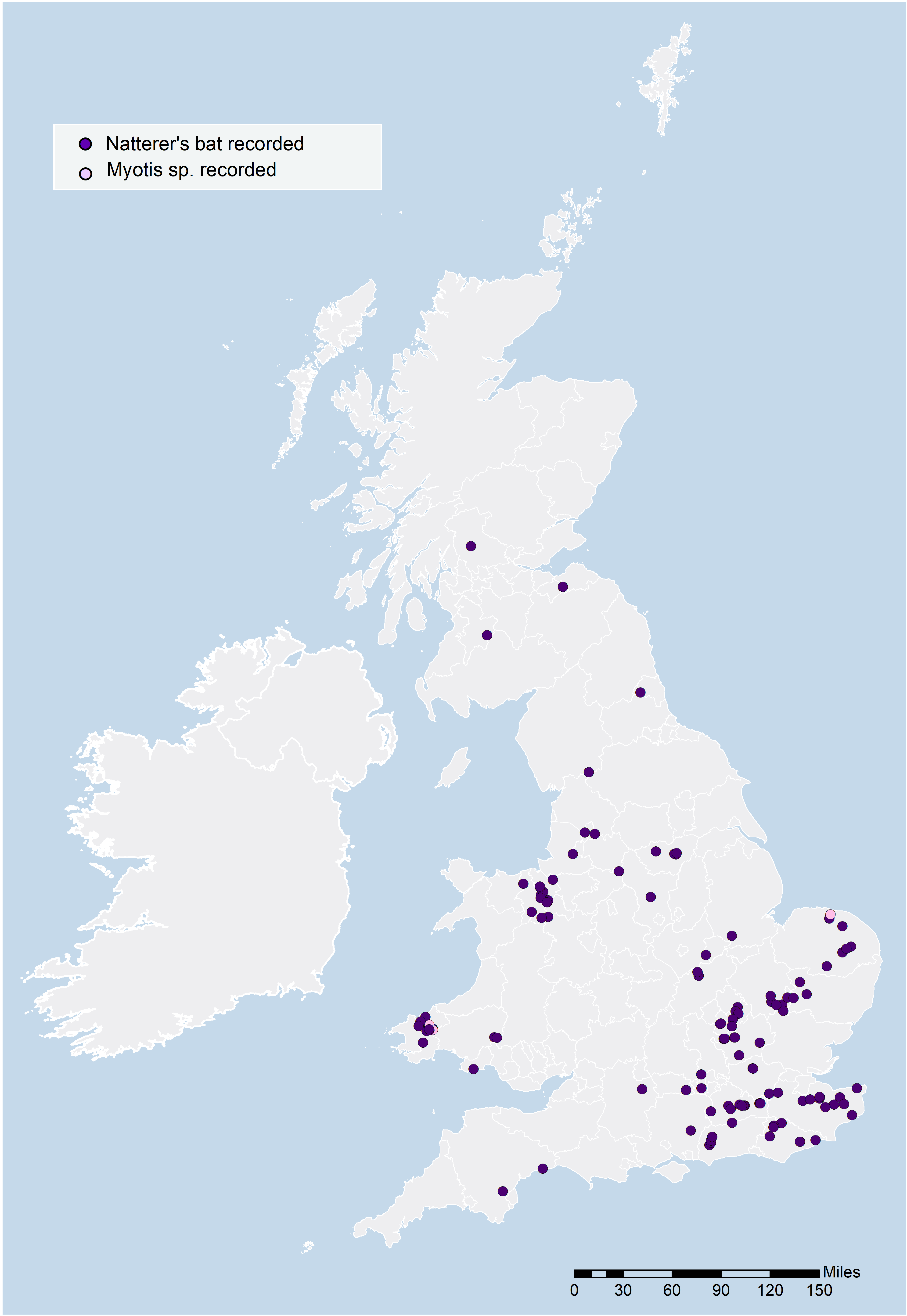 Hibernation Survey