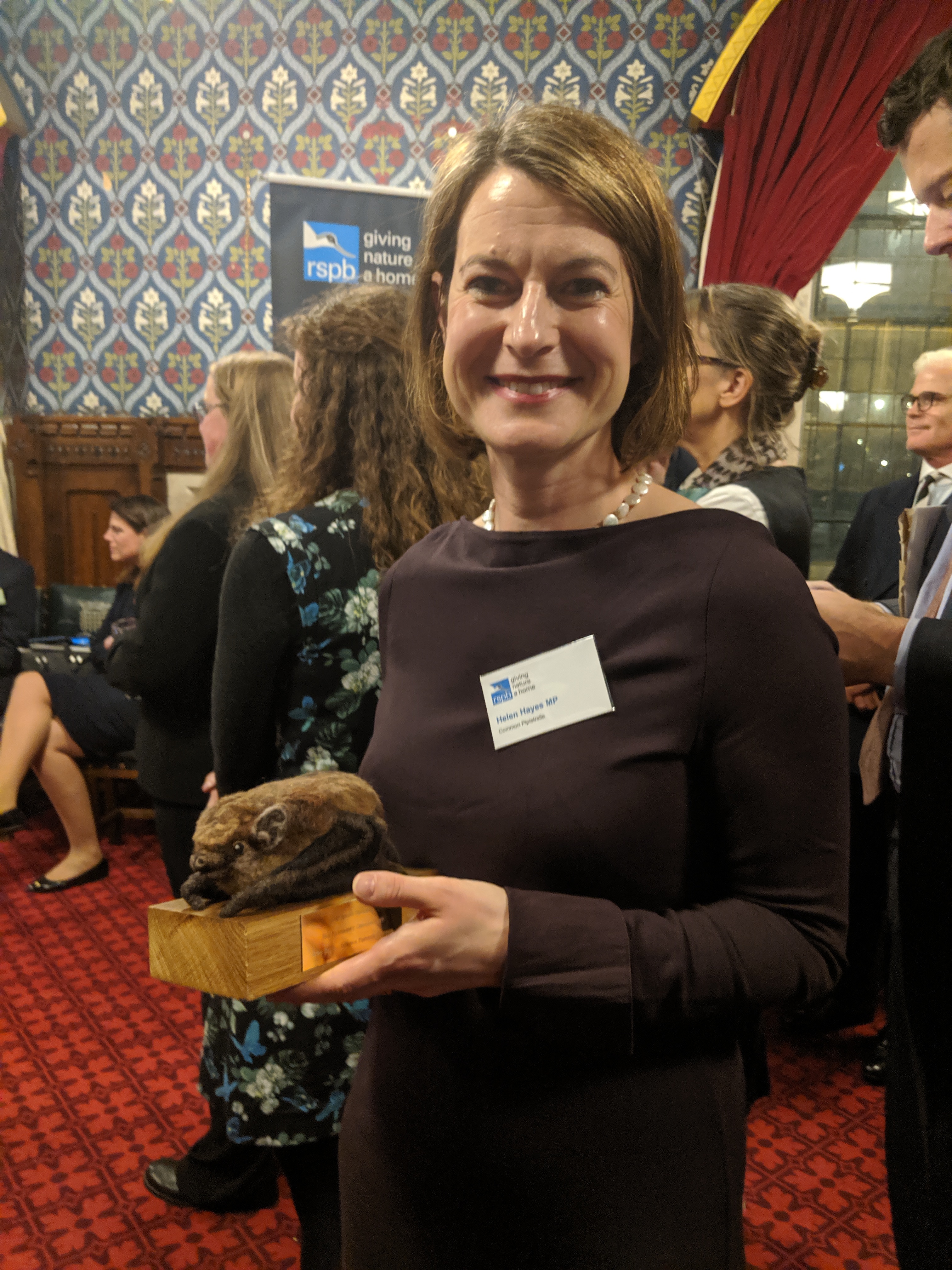 Best Parliamentary Champion 2019 - Helen Hayes MP