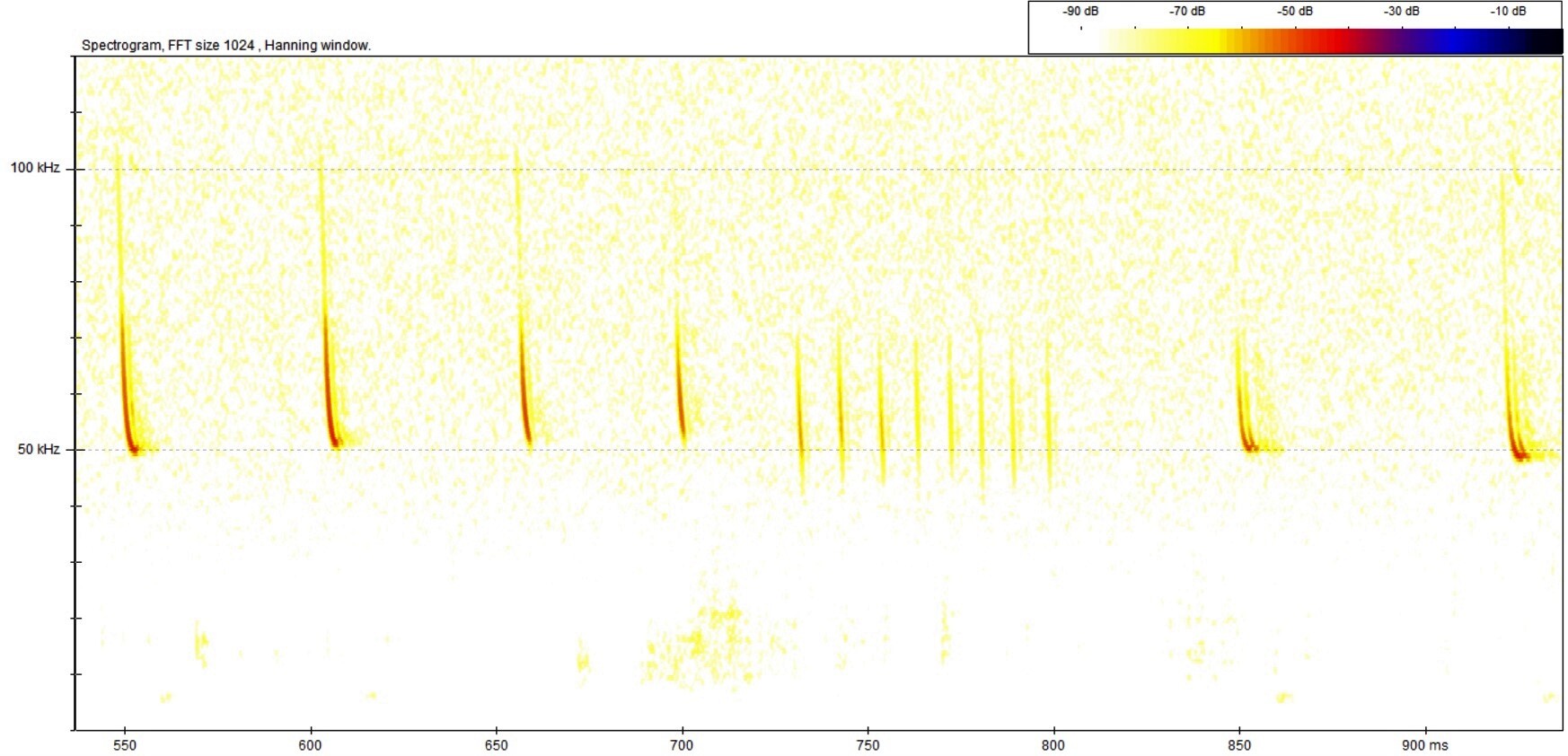 A spectrogram of a pipistelle's call. The picture shows a graph of soundwaves, used to identify bats.