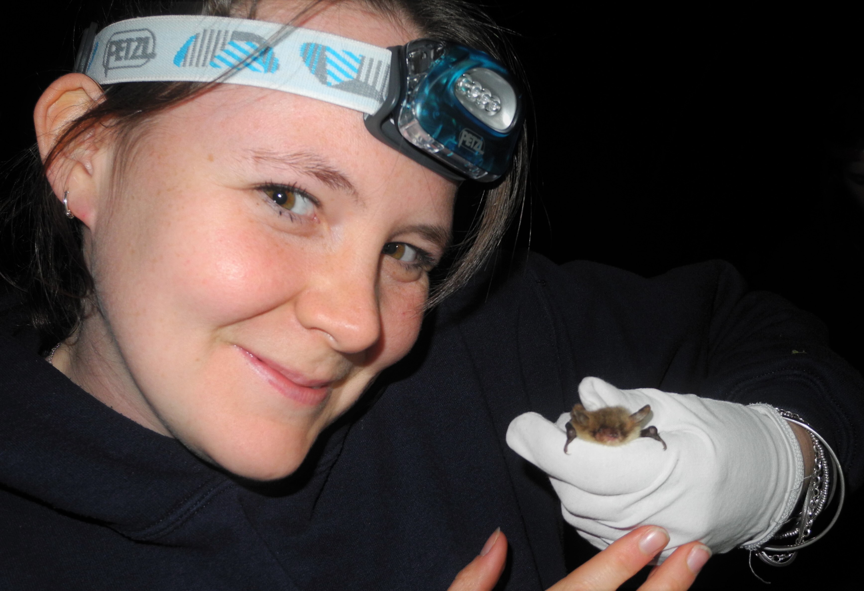 A young woman with dark hair is holding a very small bat in a gloved hand. The woman has a headtorch on and is smiling.