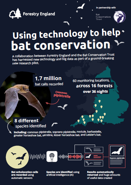 AI and new technology allow ground-breaking study to help protect bats