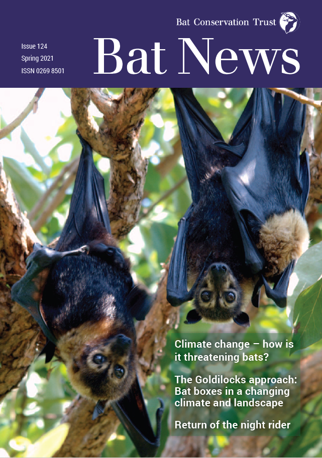 A focus on helping bats for COP26