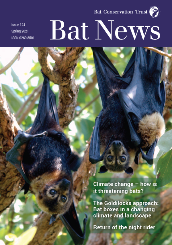 A focus on helping bats for COP26