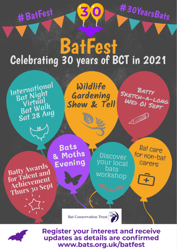 Birthday Time! 30 Years of Bats