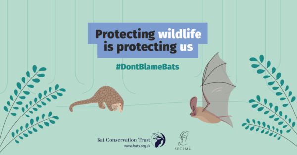 Don’t Blame Bats - Campaign Launch