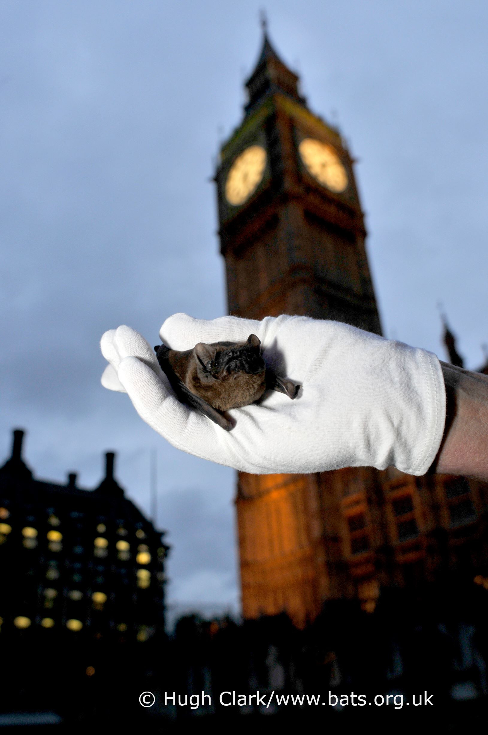 Crime and Policing Bill - impact on environmental protest
