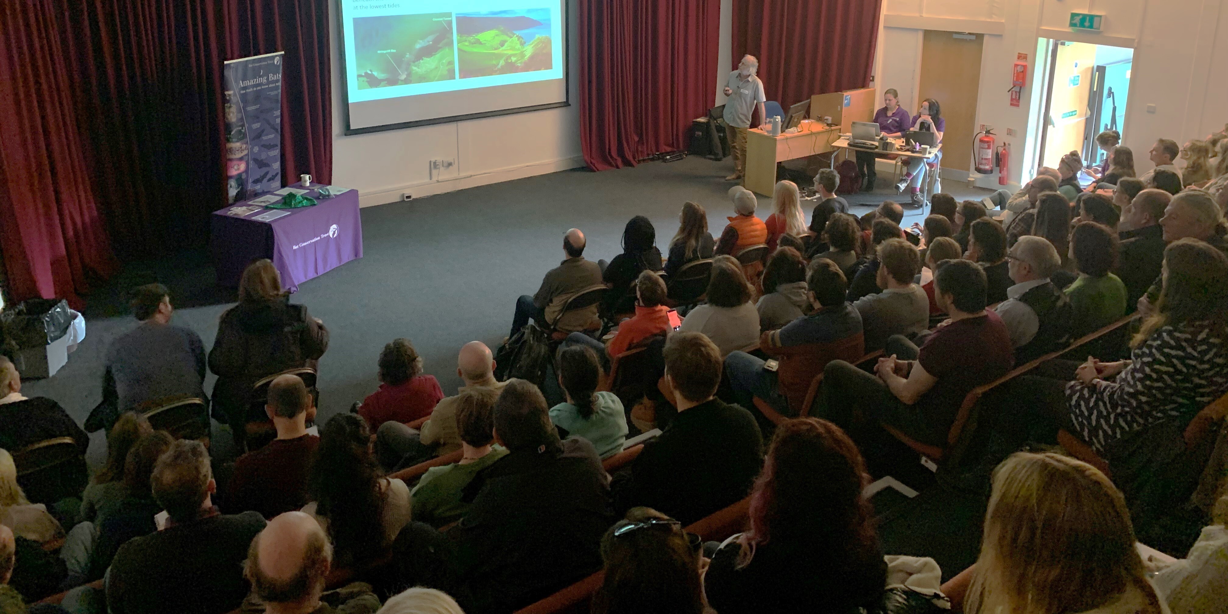 Wales Bat Worker's Day