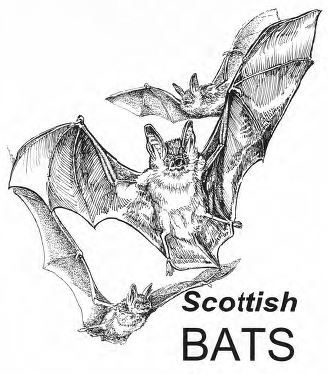 Scottish Bats