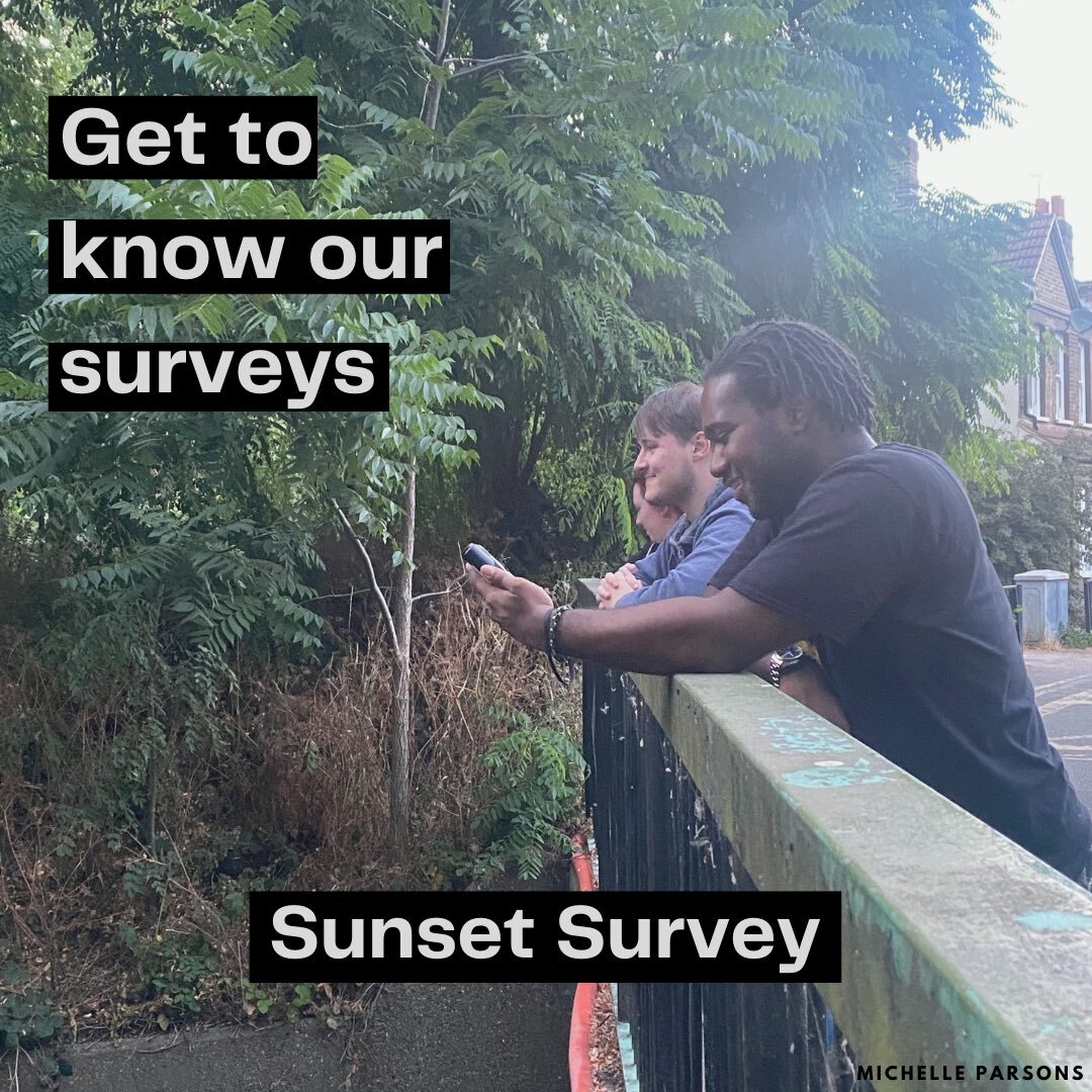 Sunset Survey: Join us and discover your local wildlife in the twilight zone