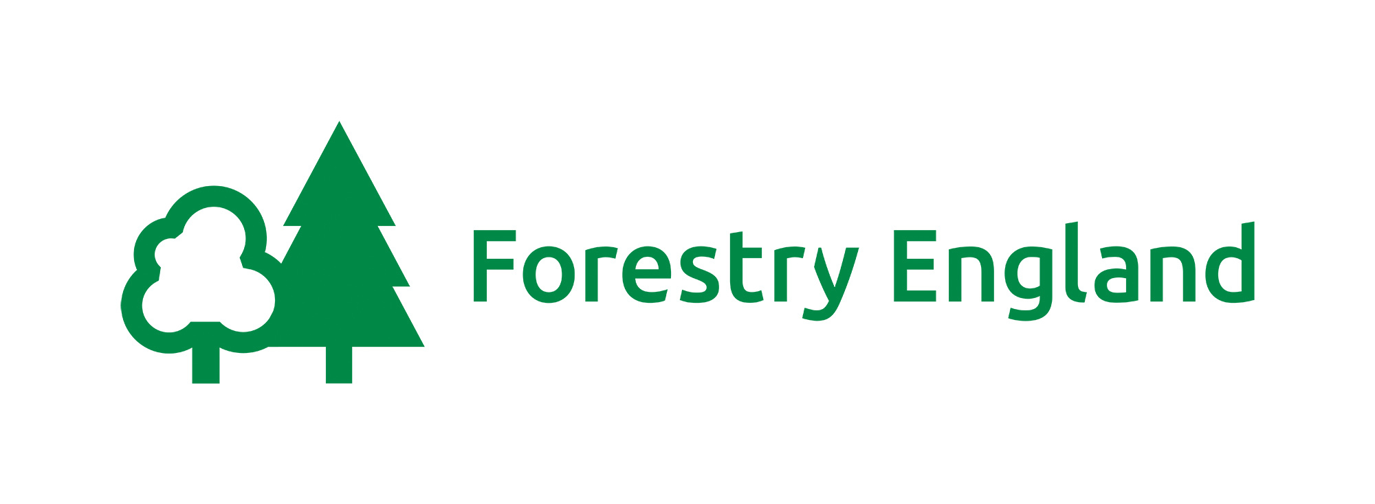 Forestry England Bat Survey