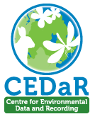 Bat monitoring in Northern Ireland