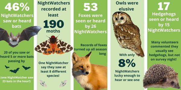 NightWatch Survey