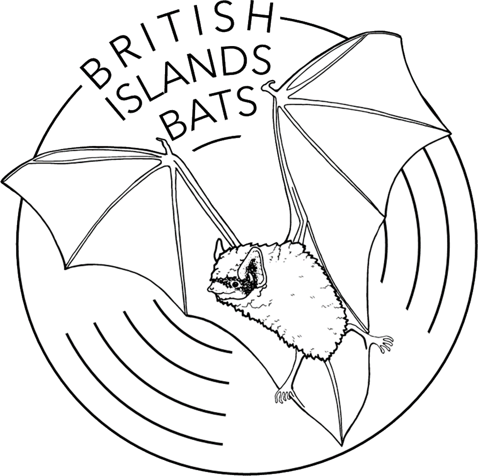 British Islands Bats