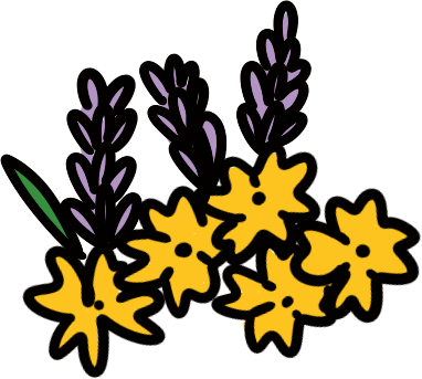 Making space for night-time nature