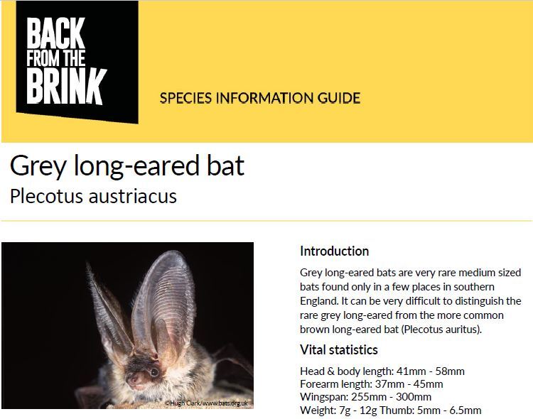 Species specific guidance