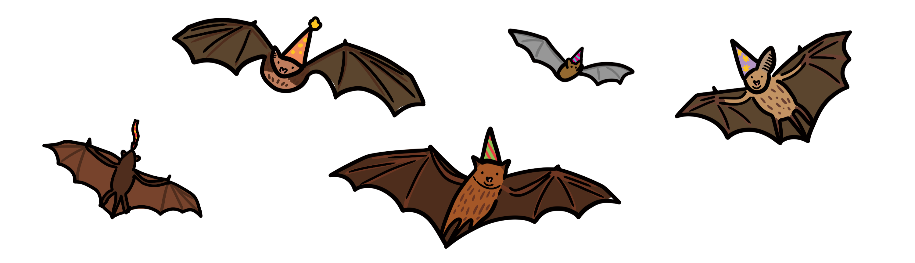 Celebrating night-time nature