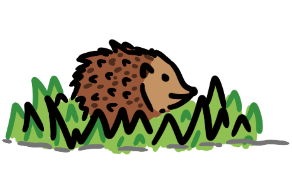 Making space for night-time nature
