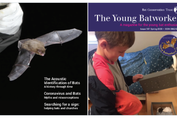 Bat News and The Young Batworker magazines