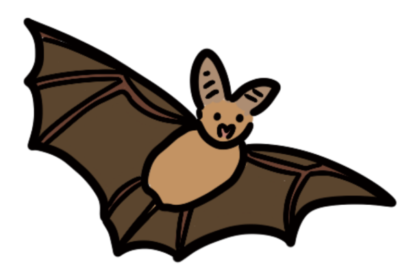 Other bat surveys with the National Bat Monitoring Programme (NBMP)