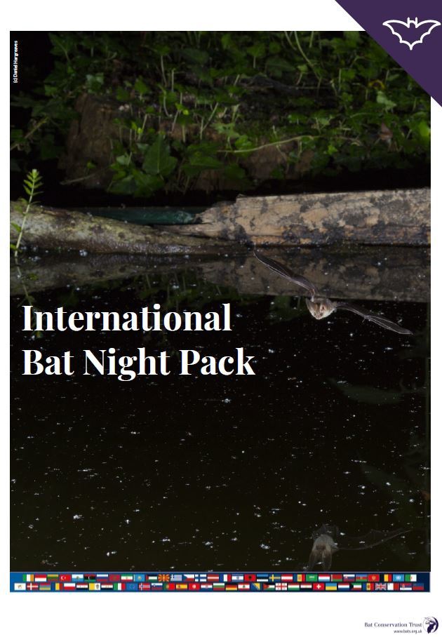 International Bat Night