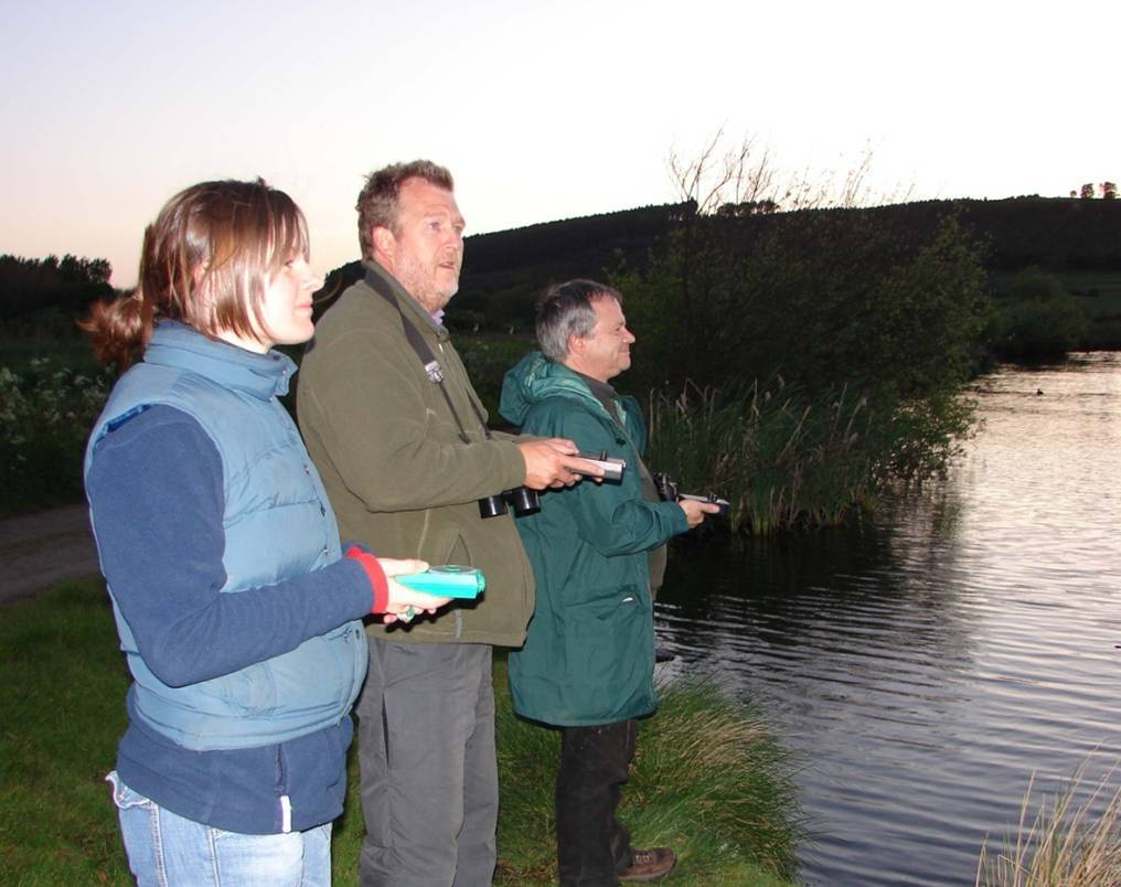 Buying a bat detector