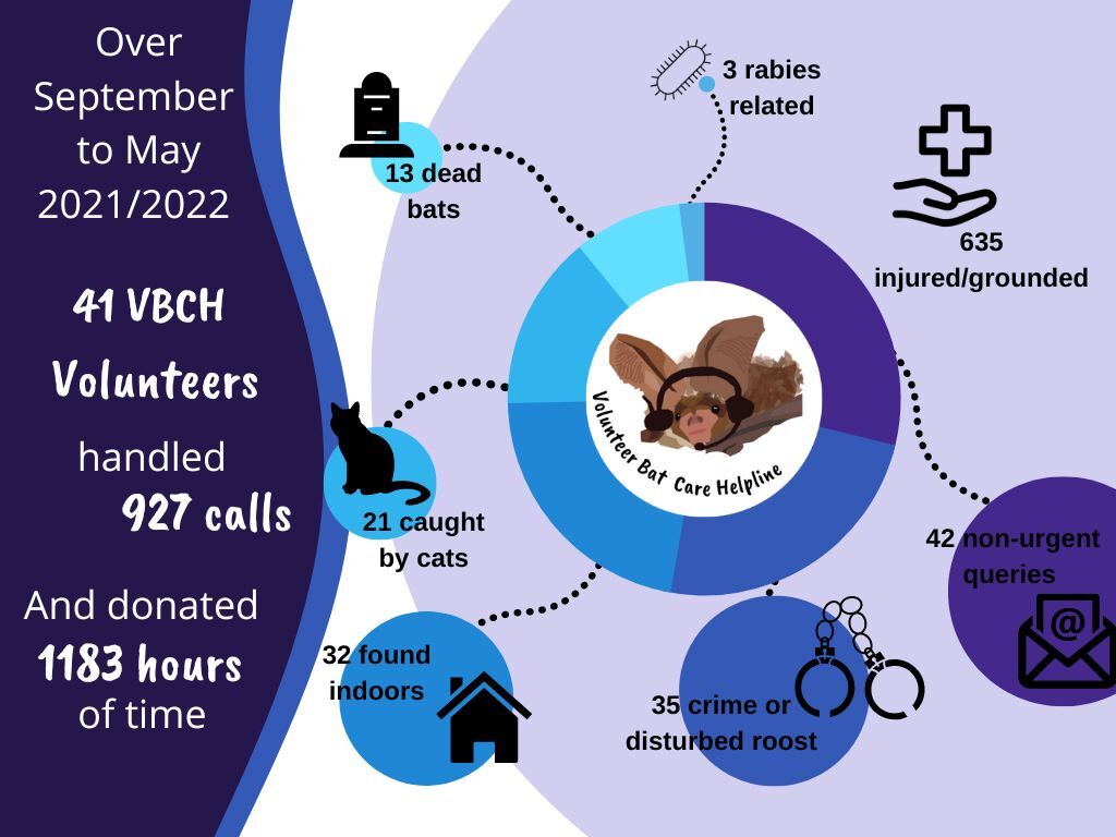 Volunteer Bat Care Helpline