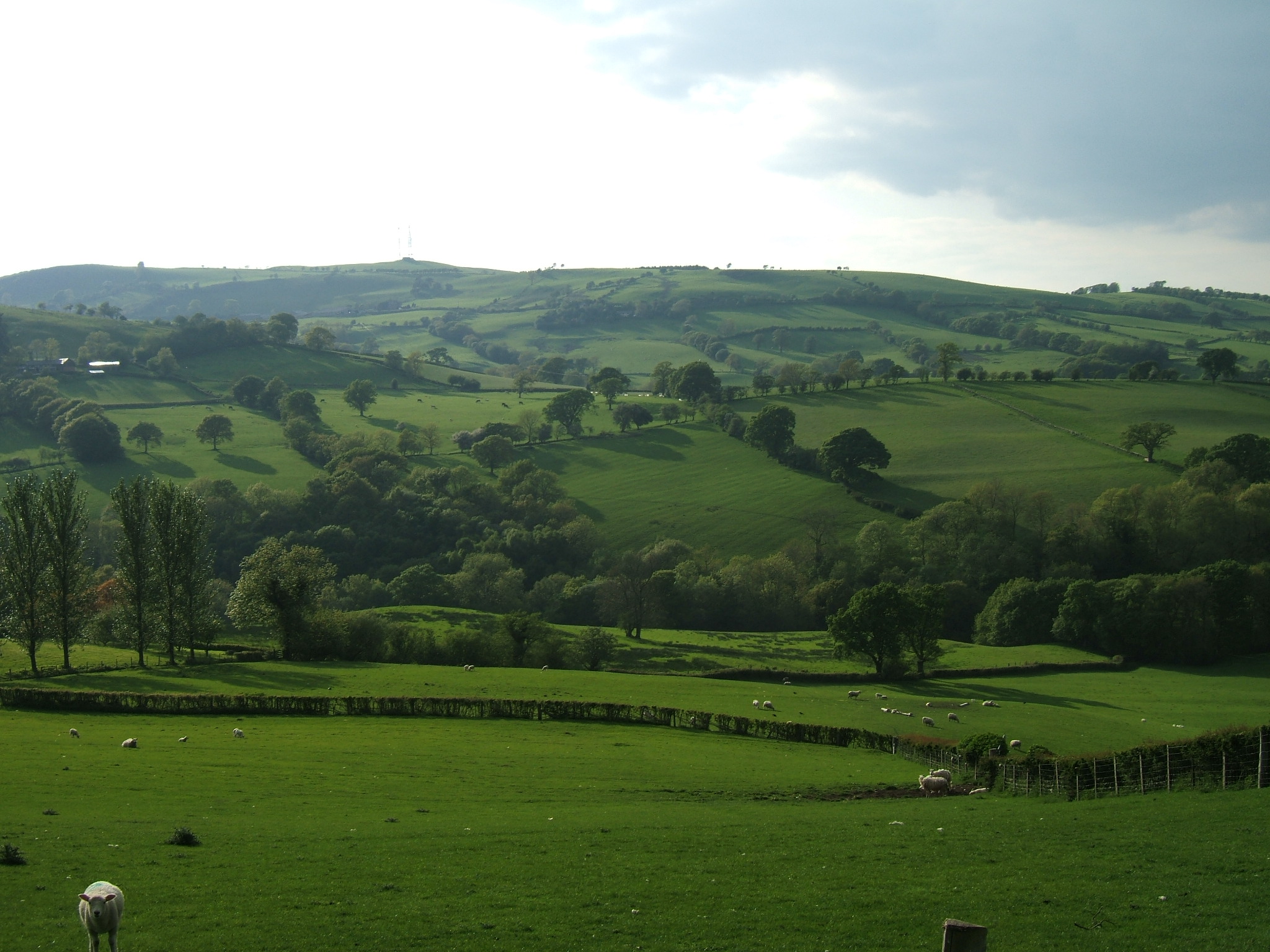Strategic Planning for Landscape-Scale Conservation Symposium 2018