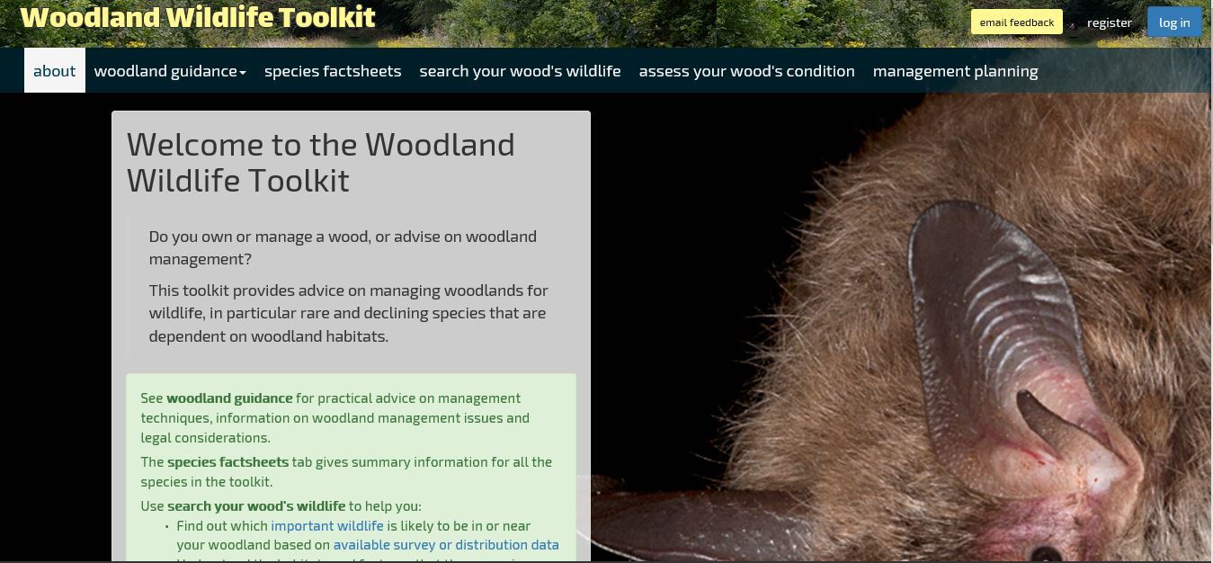 Woodland Wildlife Toolkit