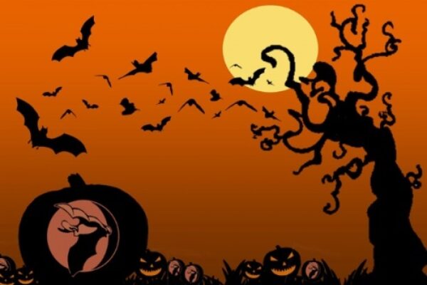 Halloween for Bats