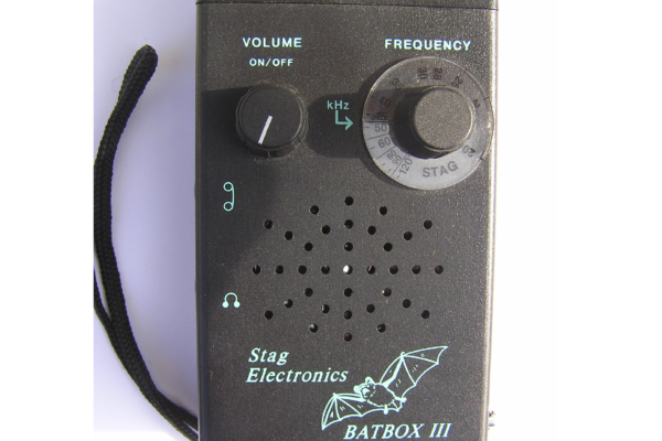 Bat Detector Species ID Quiz