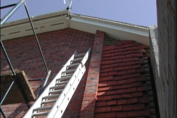 I've found a bat during works