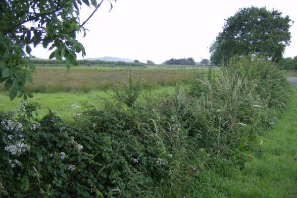 Landscapes for Bats