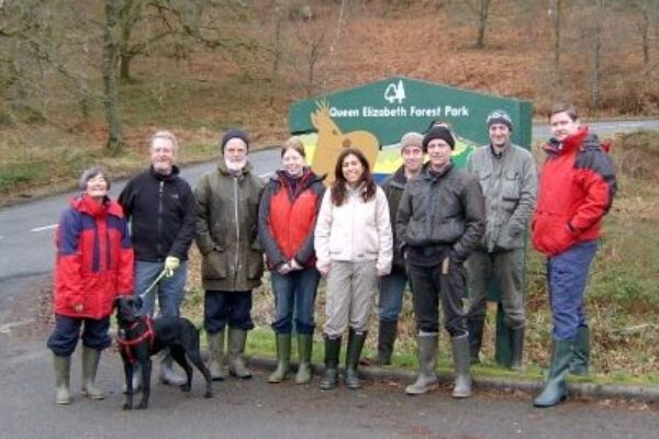 Find a local bat group