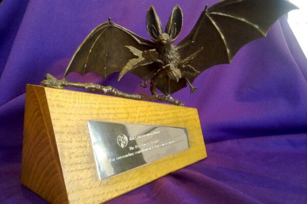 Awards